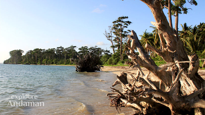 Scenic beauty of Wandoor Beach