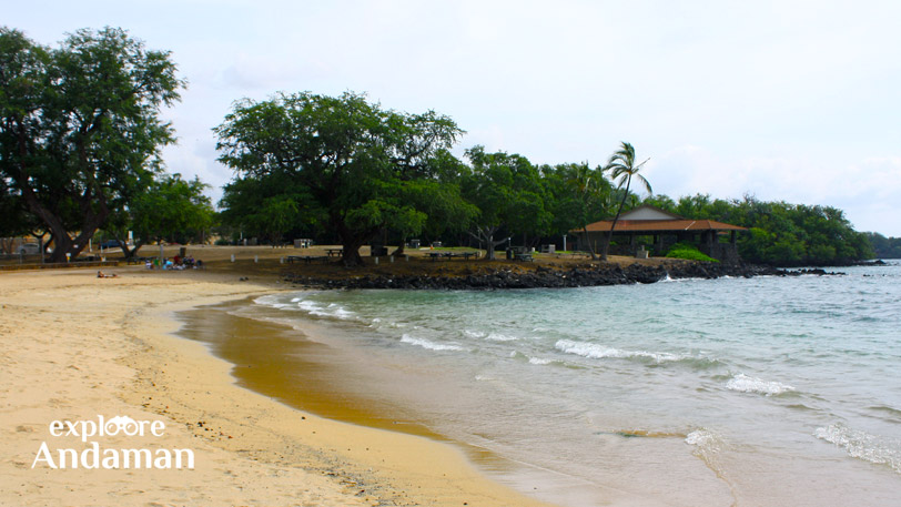 Turtle Nesting and More: Exploring Ramnagar Beach in North Andaman